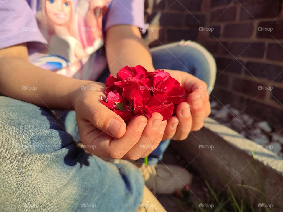 Hands holding flower petals
