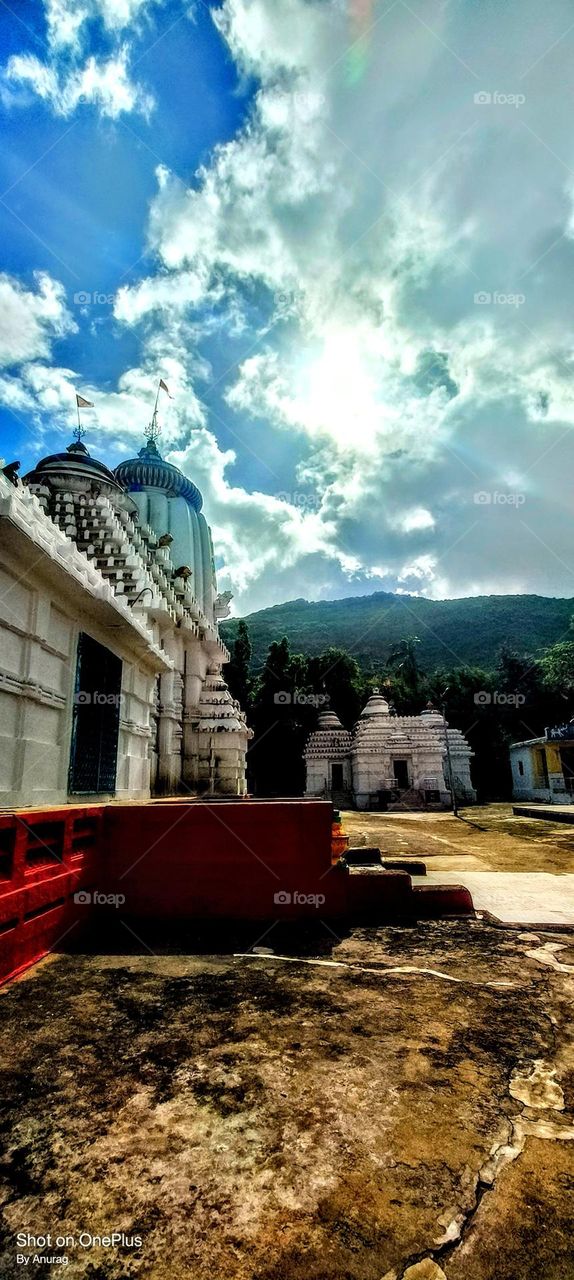 temple into the wild