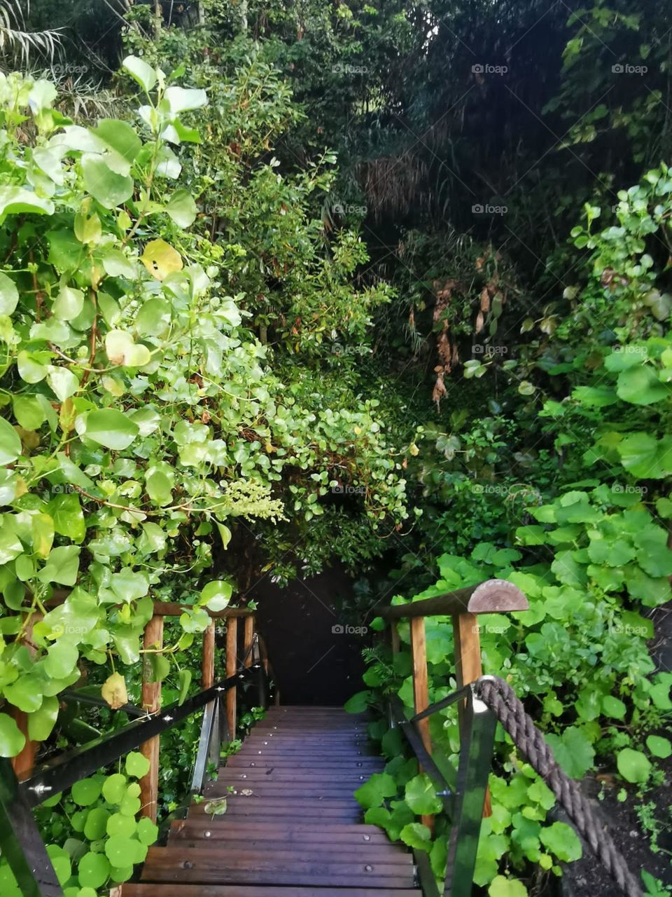 escaleras en un sendero