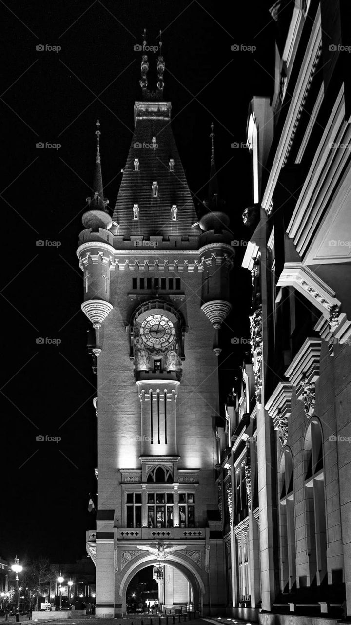 The Palace of Culture