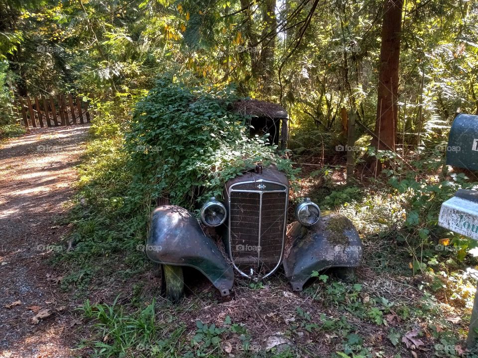 Lost but not forgotten.  A true beauty in her day, left to rust in the woods, vine and weed covered but still a classic collector's dream find.