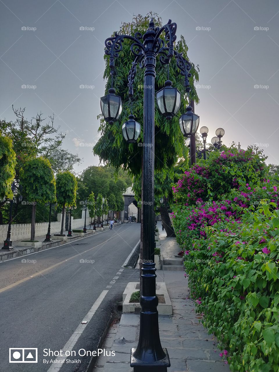 This is an Old Architecture on the back street of City Palace