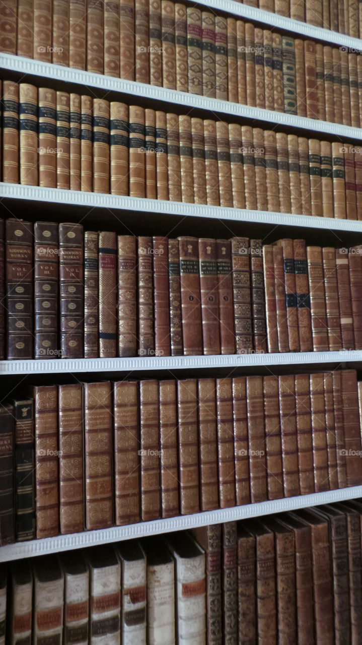 library in 16th century home
