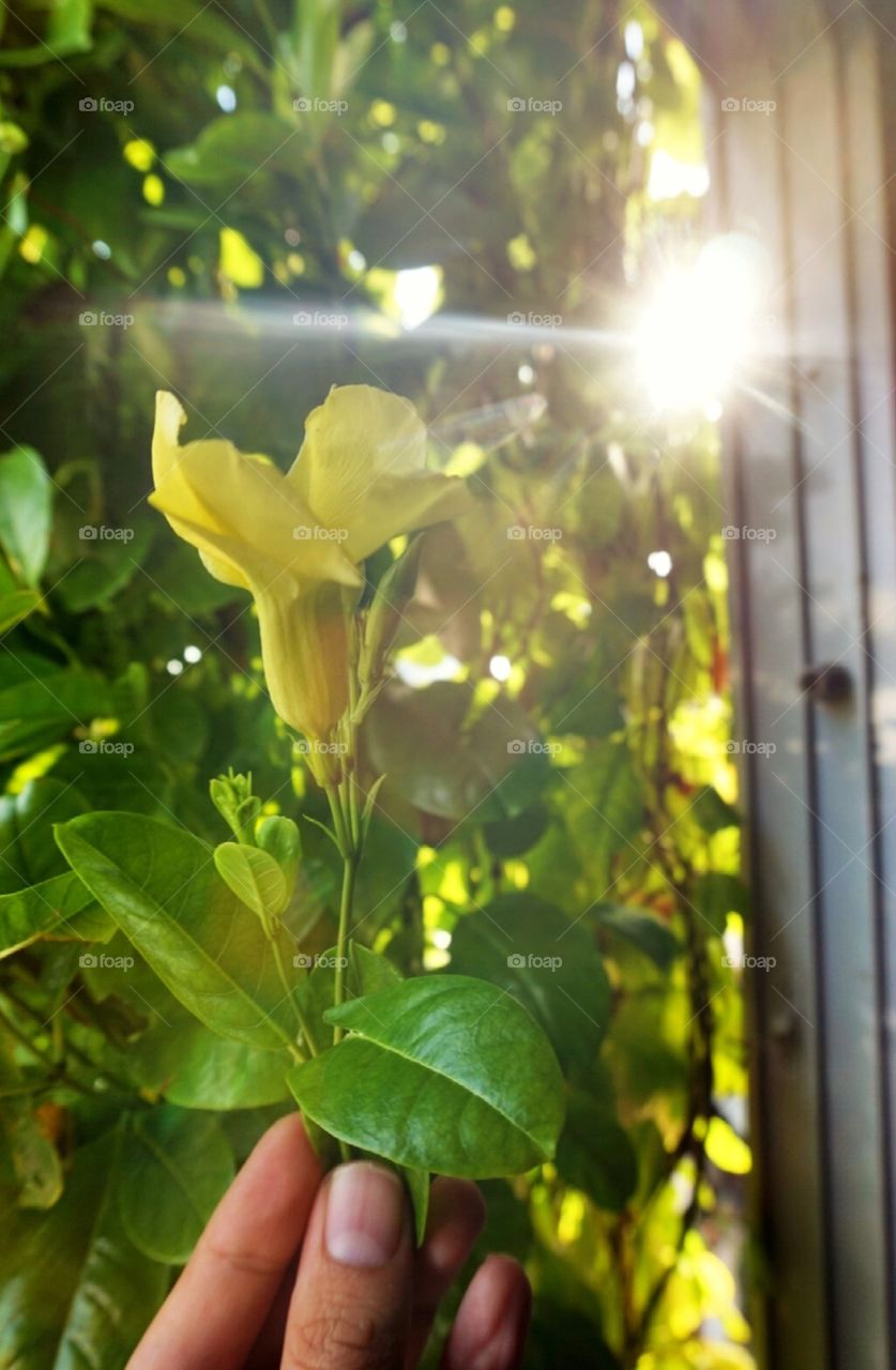 Just ordinary day with my room window 