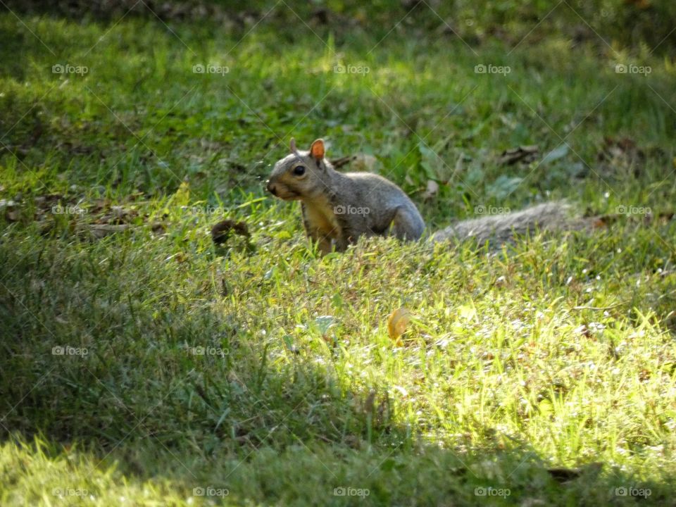 fall day