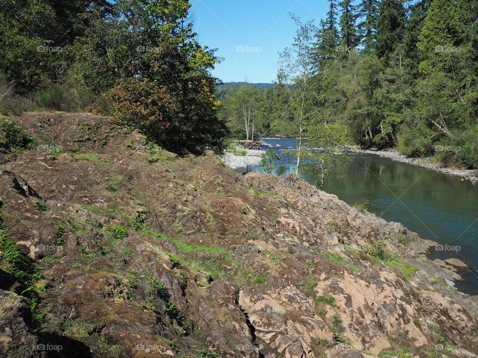 The rocky and rugged shores of the Middle Fork of the Willamette River near Oakridge Oregon filled with trees transitioning to their fall colors on a beautiful sunny day.