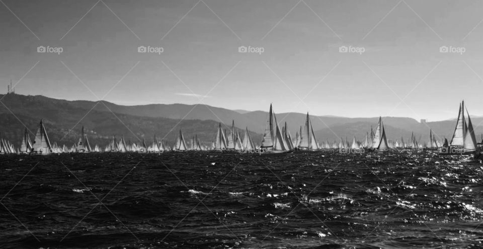 Barcolana 39. Sailing in Trieste