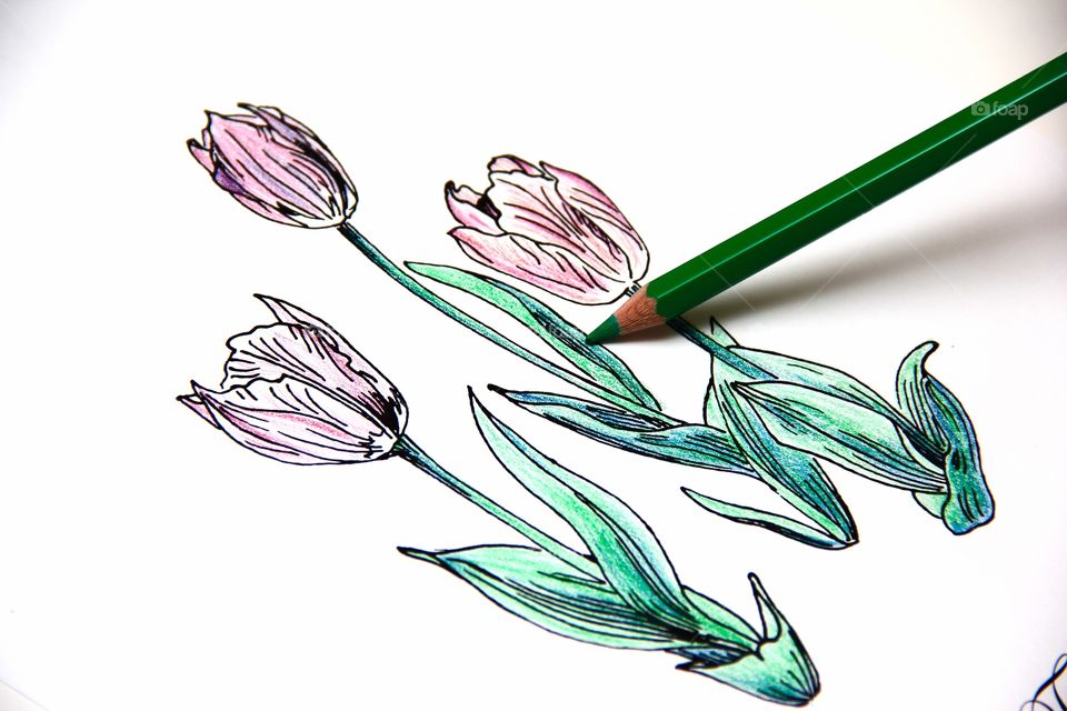 Coloring book. Flowers 