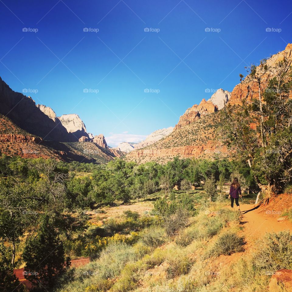 Watchmen Trail 
Zion National Park, Utah 
