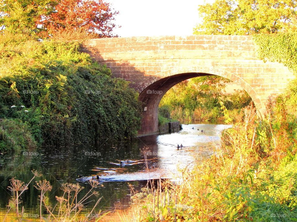 Ducks enjoying the late autumn sunshine