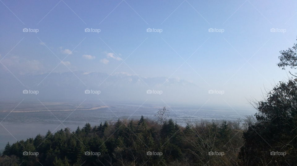 Landscape, Tree, Sky, Fog, Nature