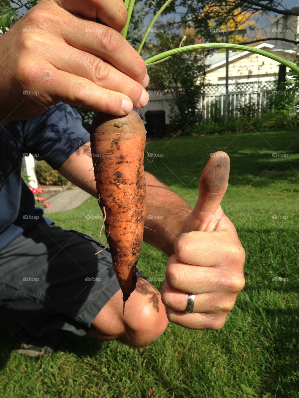 Carrot from the garden