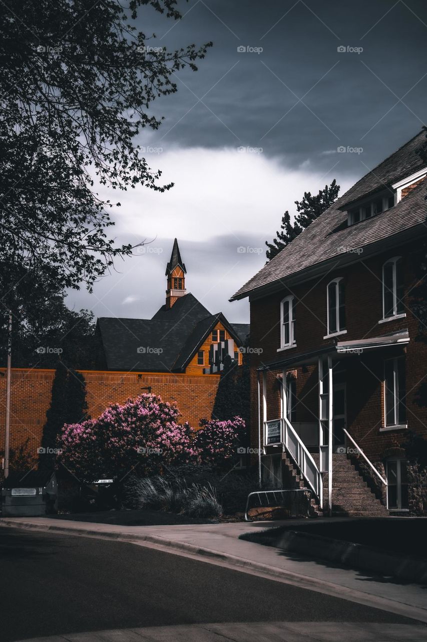 Peaks and buildings of MSU campus