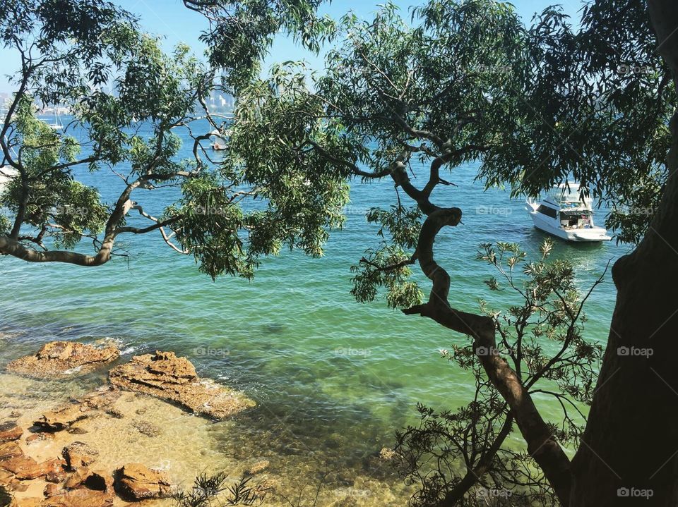 Sydney beautiful beach