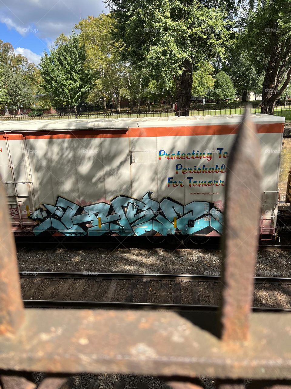 Train art