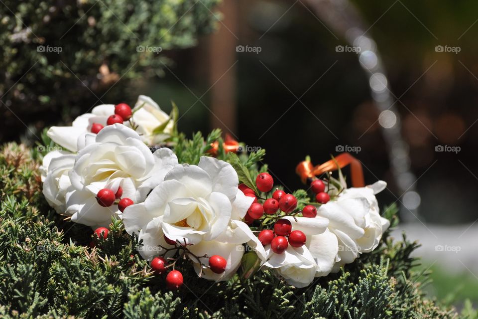 Beautiful white roses crown