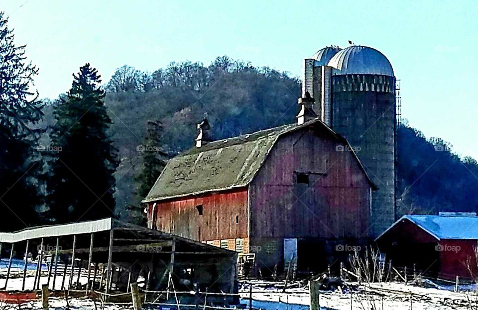 Barn