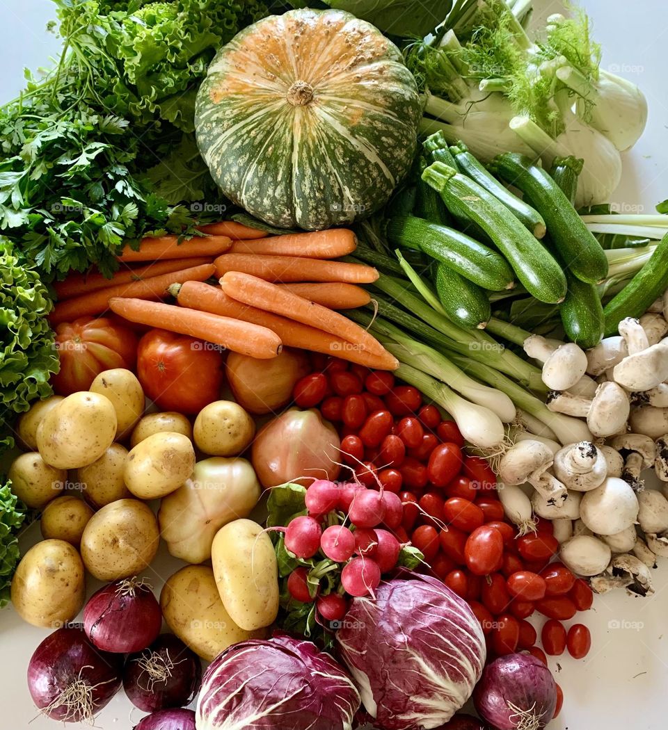 Assorted organic freshly harvested garden products from above against white background, organic vegetables, healthy food, bio food, vitamins, summer spring products, vegetable market