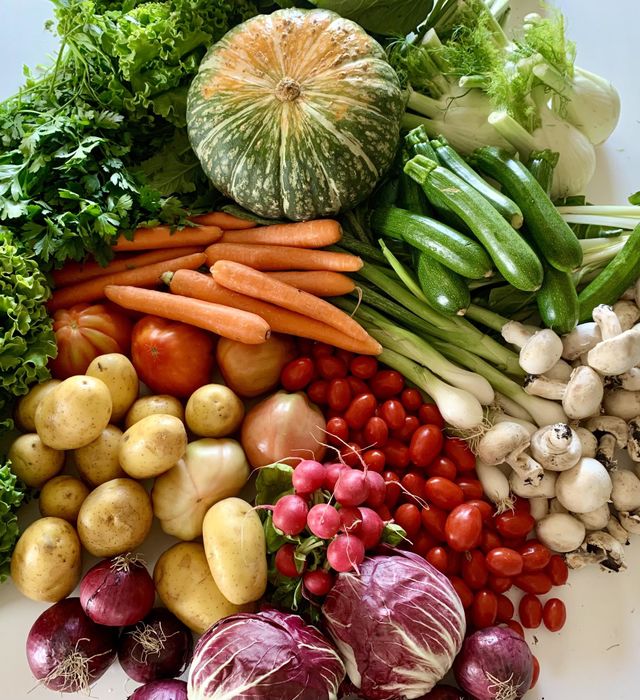 Assorted organic freshly harvested garden products from above against white background, organic vegetables, healthy food, bio food, vitamins, summer spring products, vegetable market 