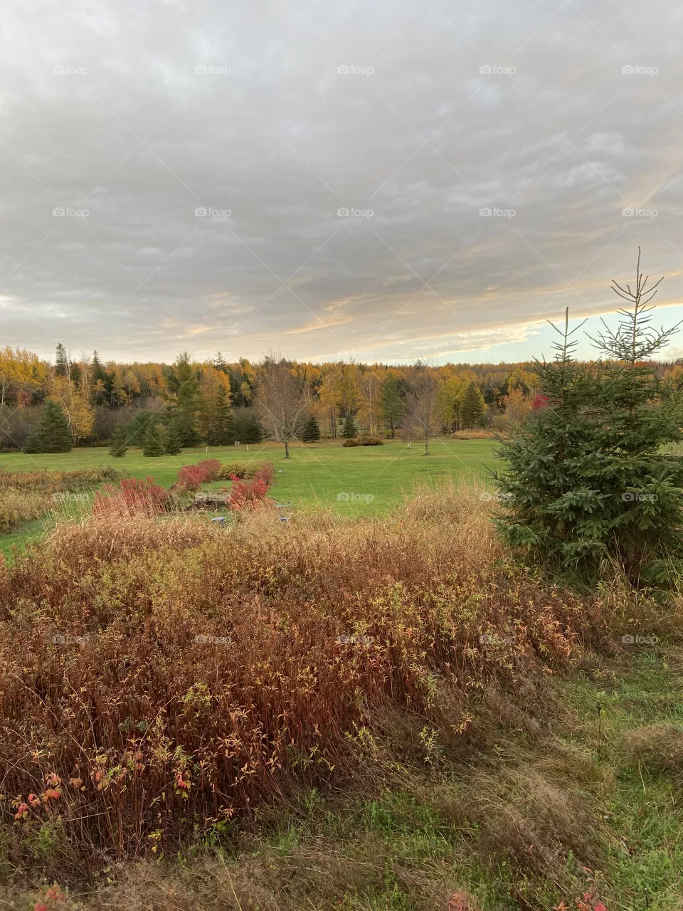 Back country 