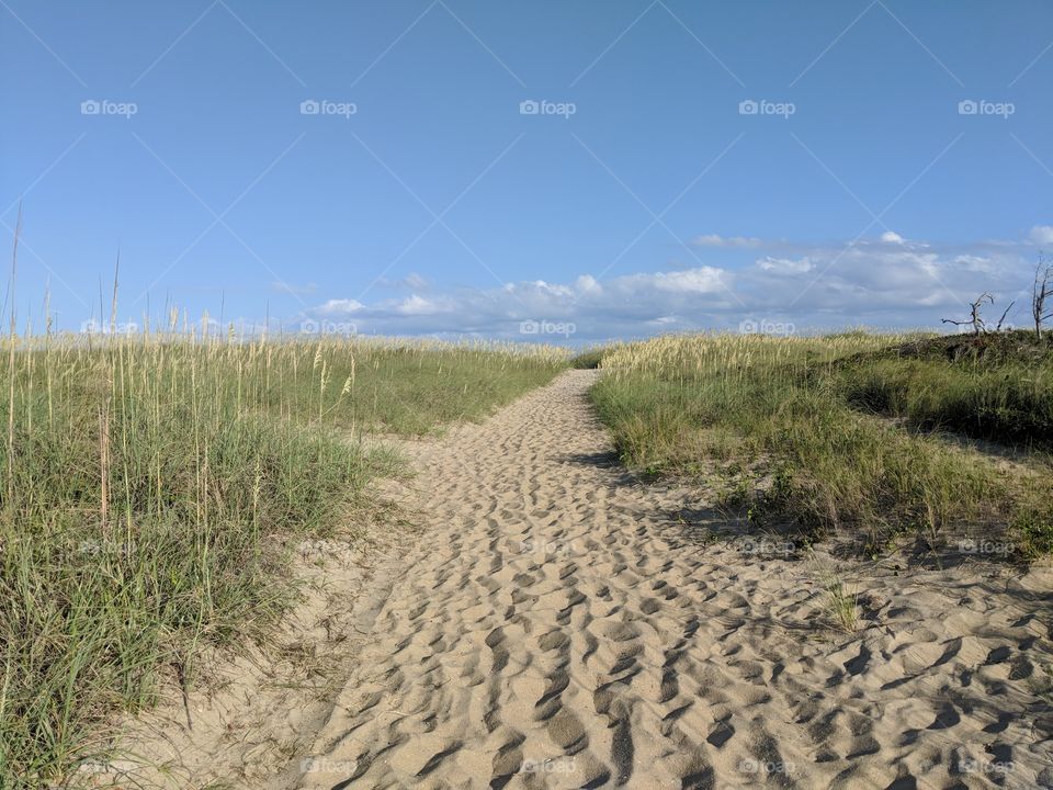 Sandy Beach path in nature. North Carolina East coast. Cape Hatteras national seashore trail in the evening.