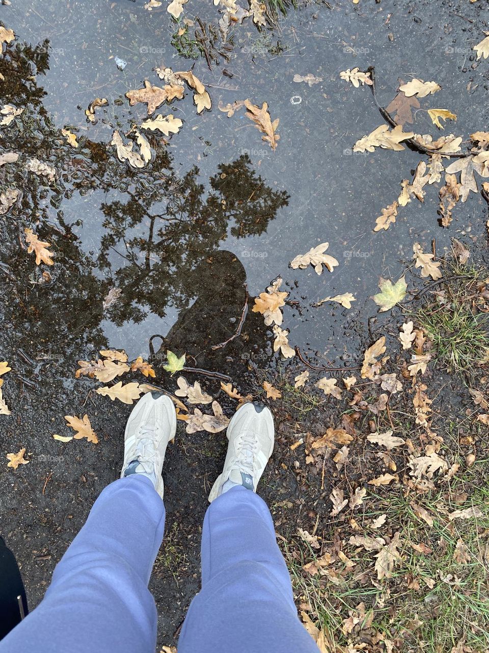 Another fall, another turned page …