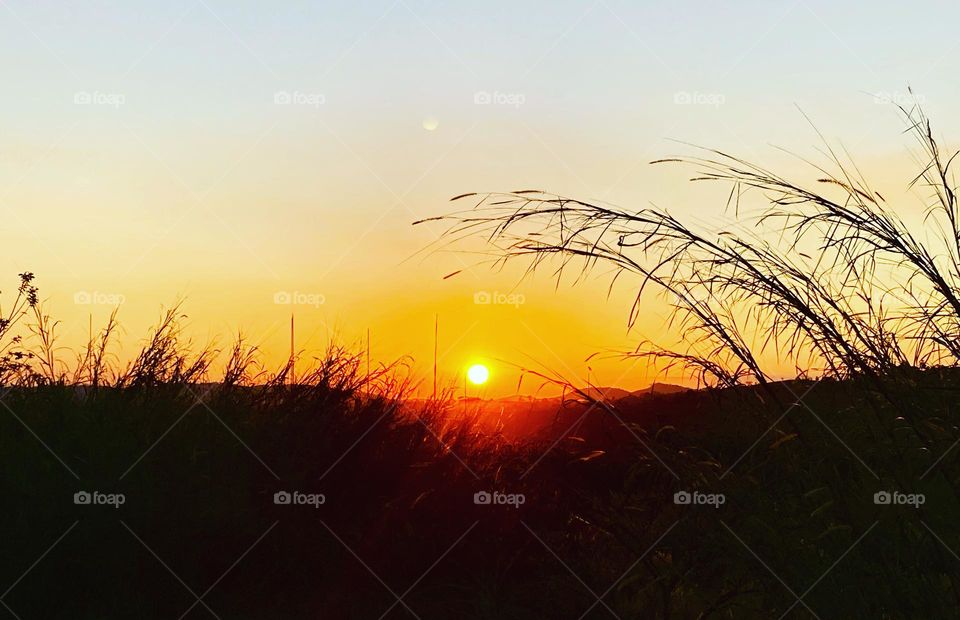 🌇🇺🇸 An extremely beautiful sunset in Jundiaí, interior of Brazil. Cheer the nature! / 🇧🇷 Um entardecer extremamente bonito em Jundiaí, interior do Brasil. Viva a natureza! 