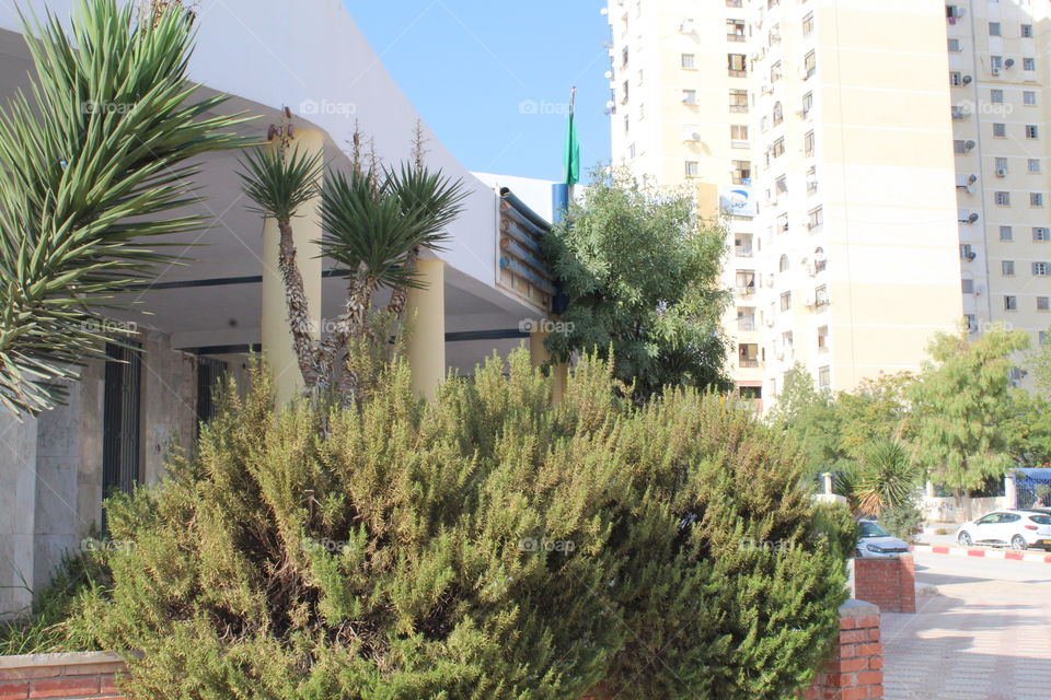 building in city landscaping