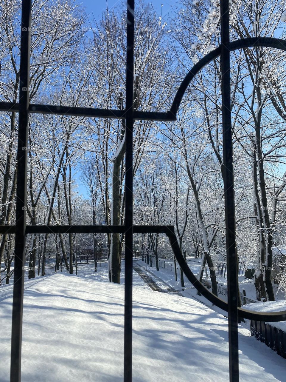 winter in our city❄️