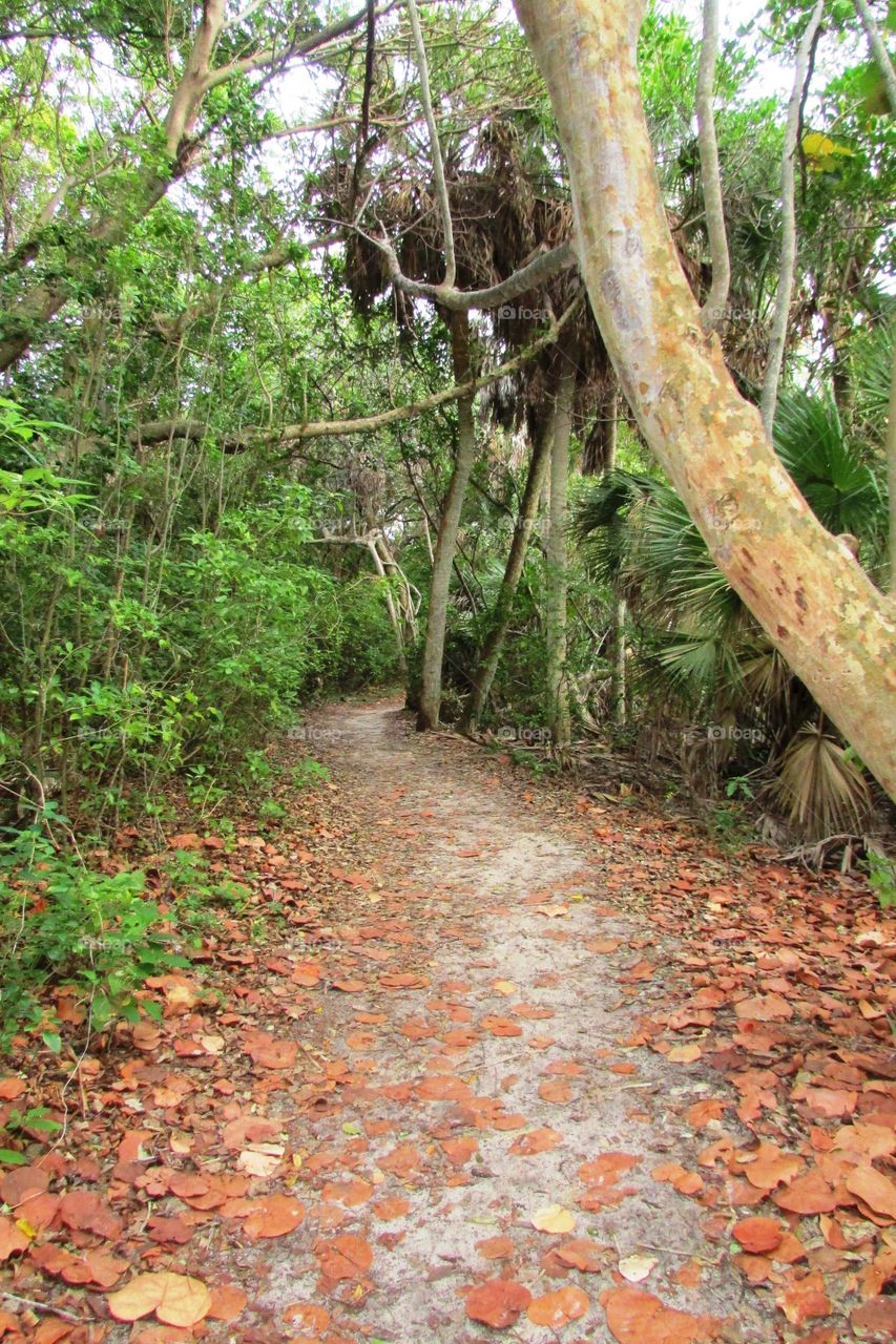 Singer island Florida 