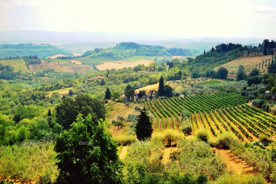 Tuscan view