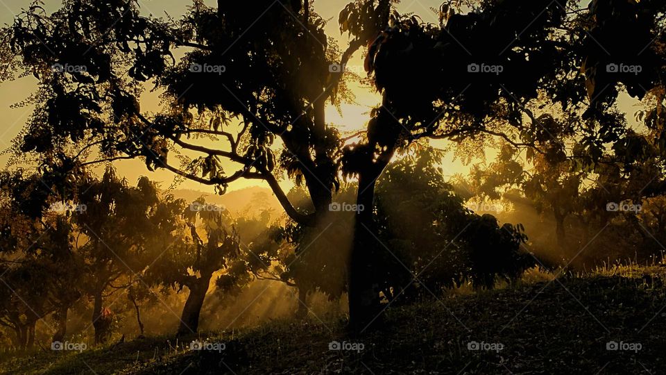 When the sun is going down