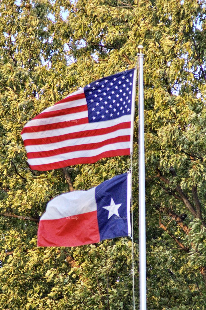 US and Texas flags