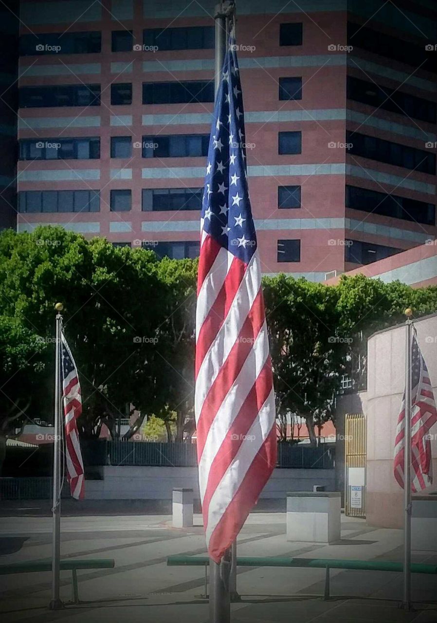 American Flags in Front of Building
