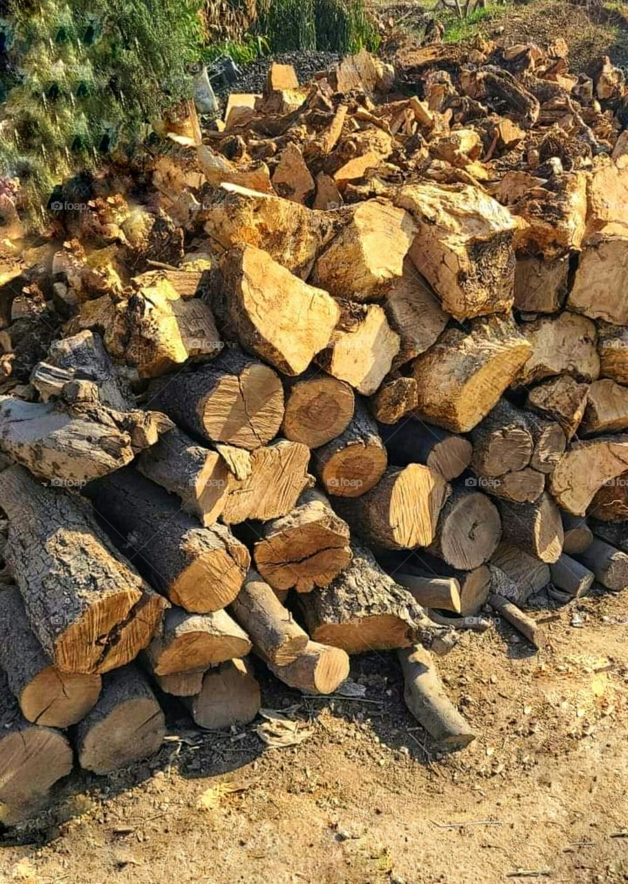 Firewood for heating