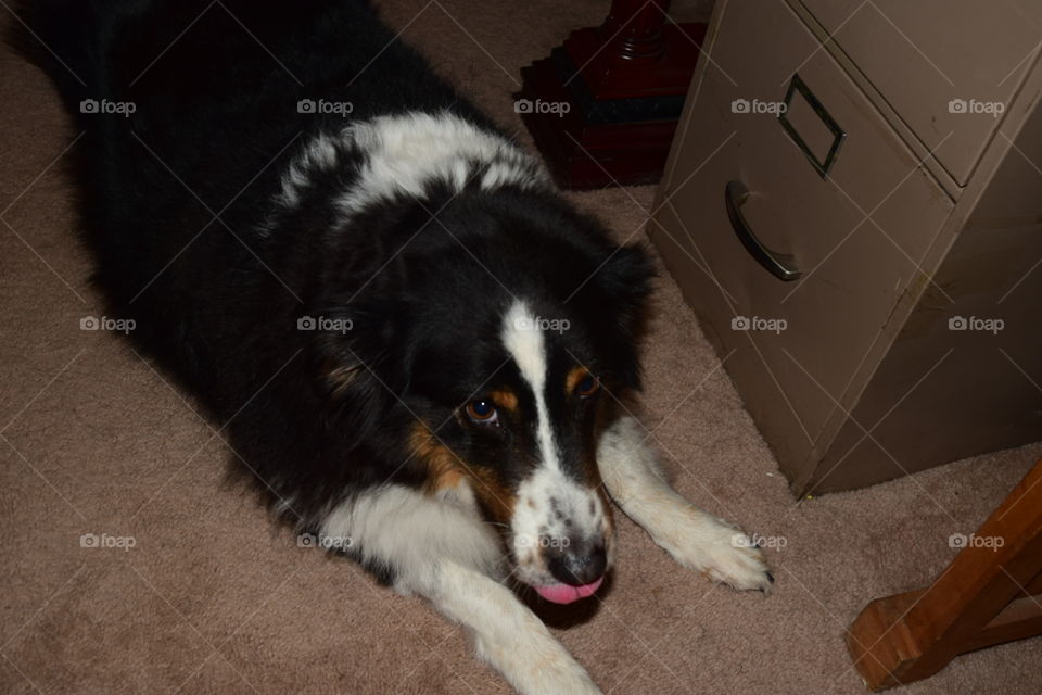 Jacqueline Onassis Kennedy