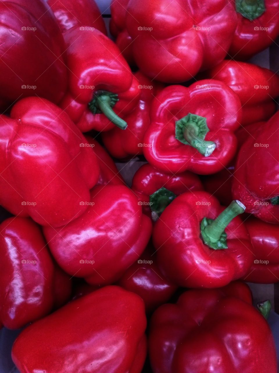 red paprika background