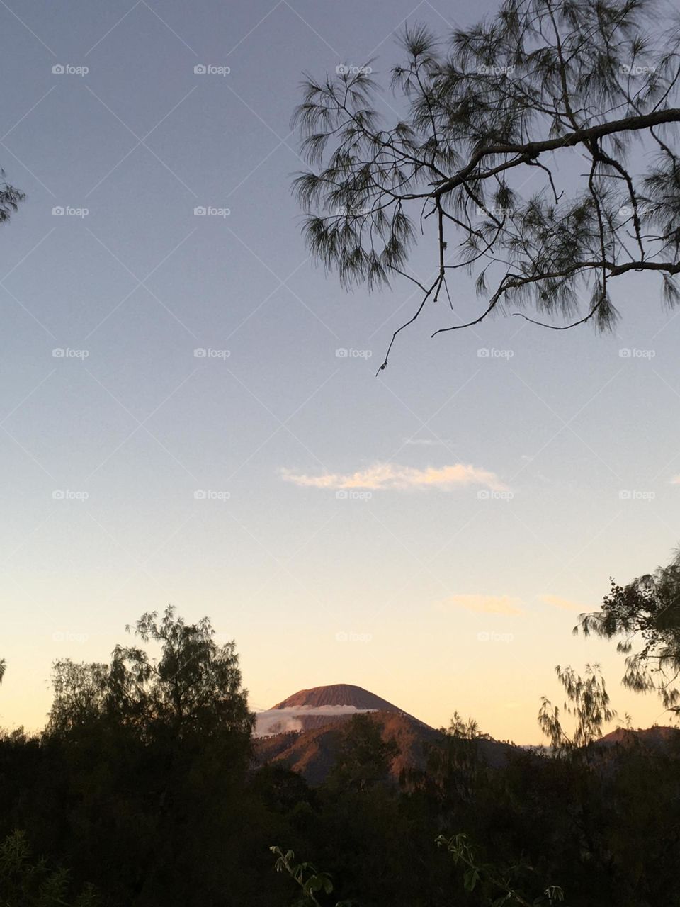 Morning atmosphere at the foot of Mount Semeru