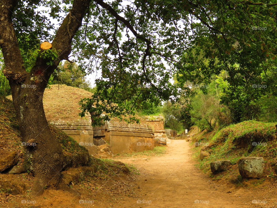 Ceverteri Etruscan  necropolis