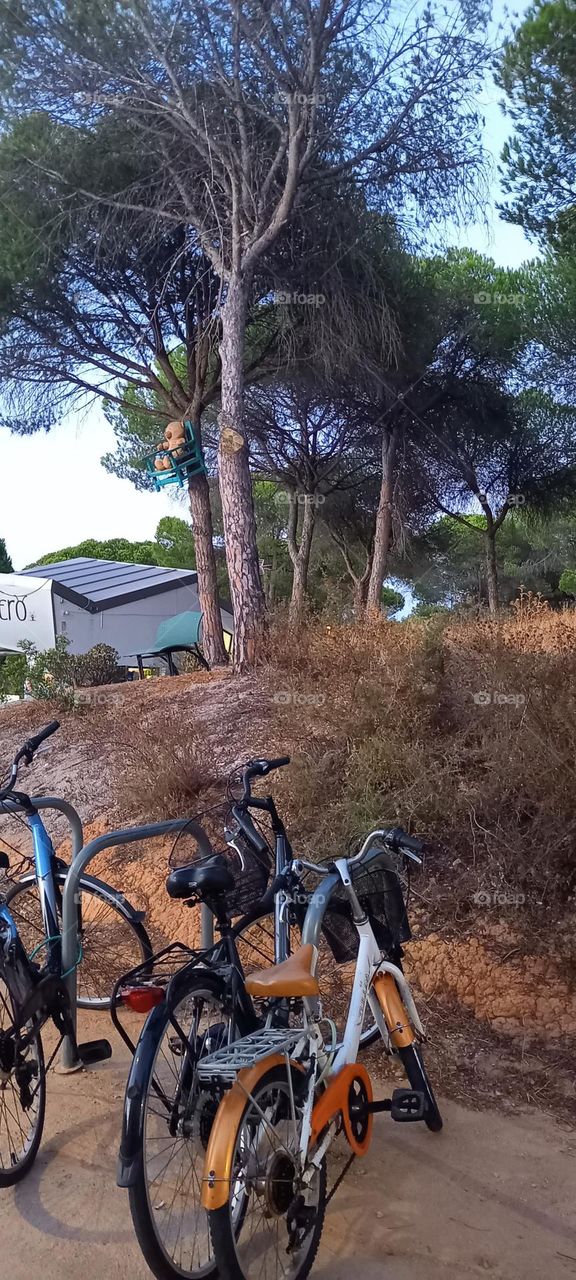 Bicicletas en Parque