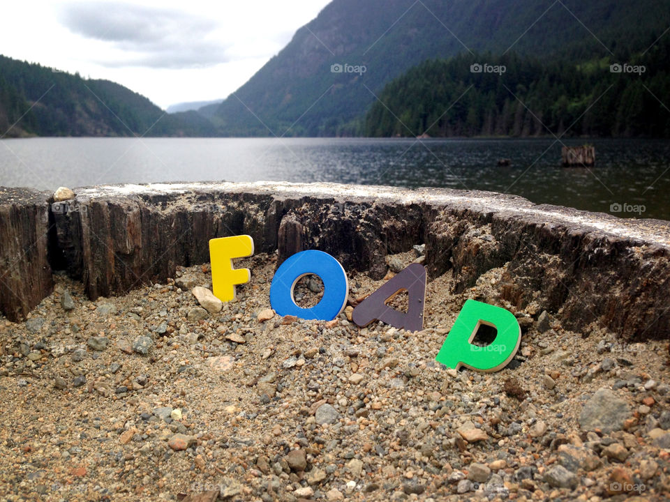 The word FOAP in colourful letters inside an old growth tree stump overlooking a mountainous lake outdoors 