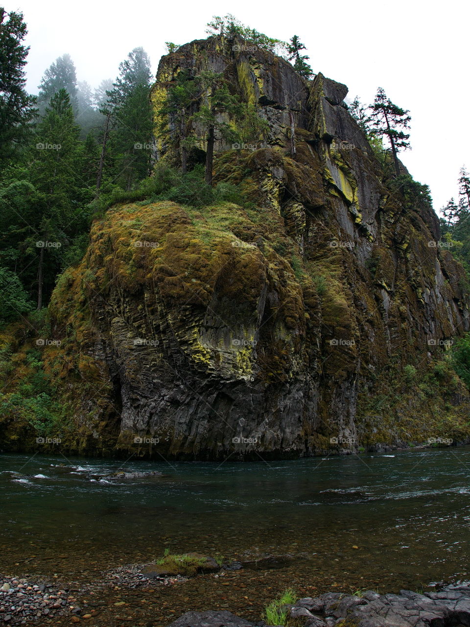 A rugged and rocky cliff covered with moss with trees growing on it sporadically on the banks of the North Umqua River in Southern Oregon with a fine mist in the air. 