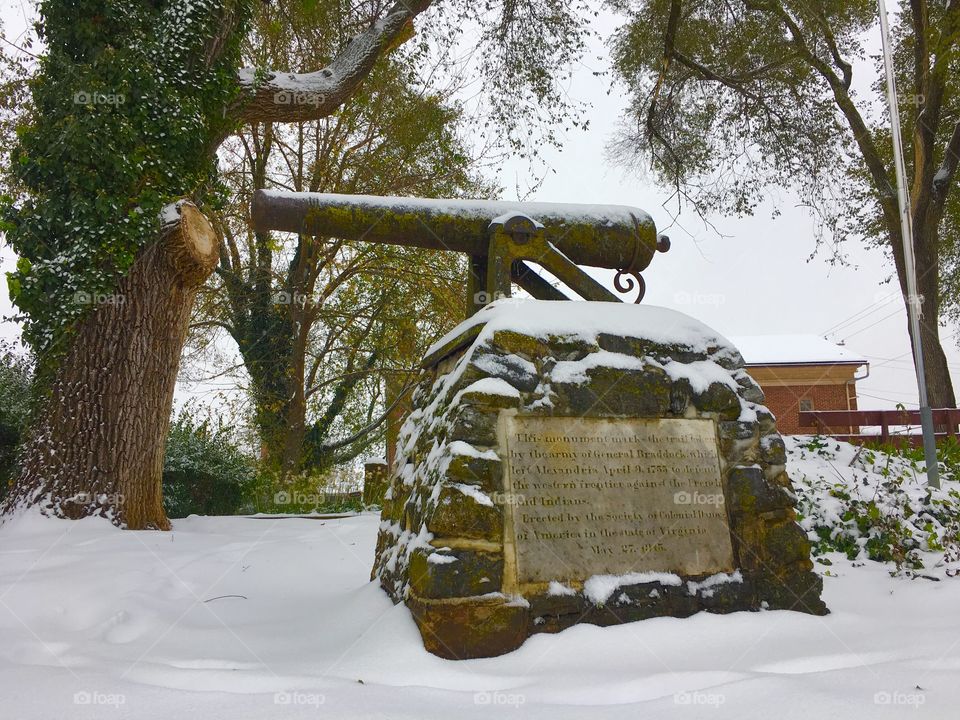 Snowy Winter Memorial Canon, Plaque, and Tree