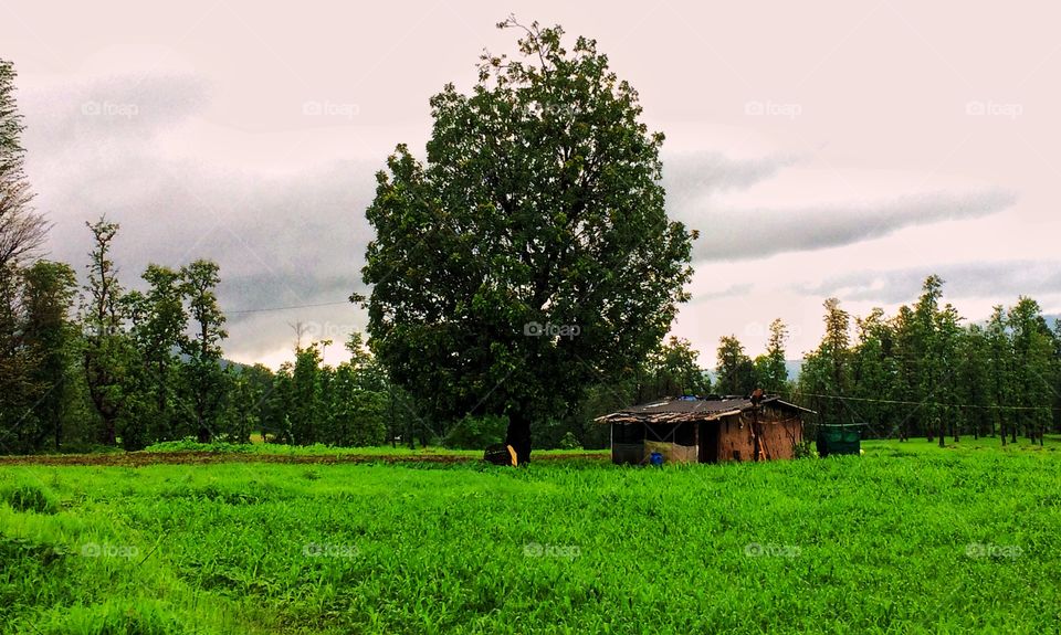 Love to live a home like this