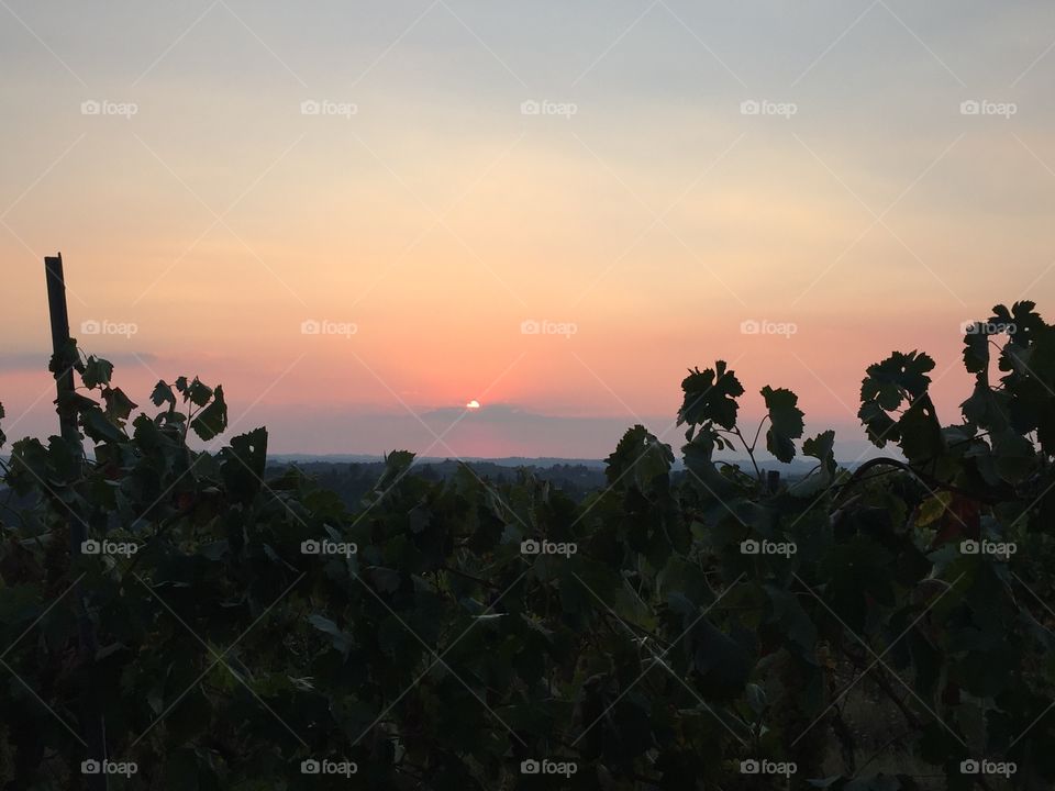 Backlit, Sunset, Landscape, People, Dawn