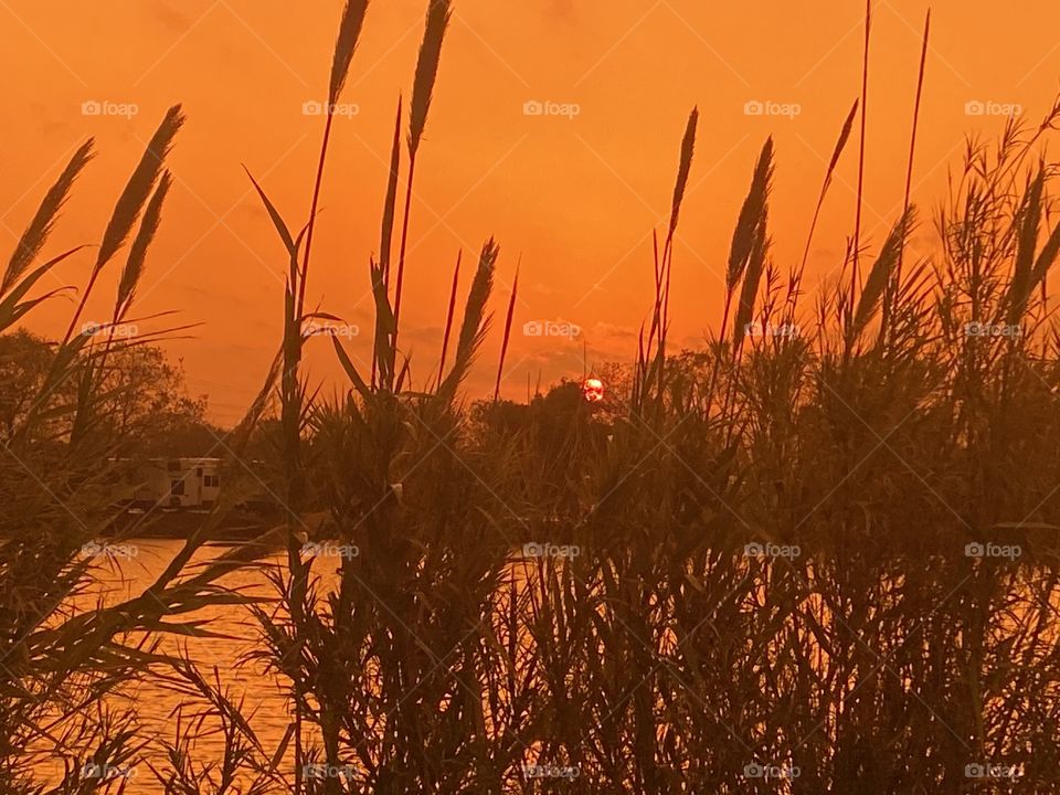 Deepening Colours during Sunset. Cat Tails losing beauty to fall and now Winter will be coming on stronger with seasonal changes. 