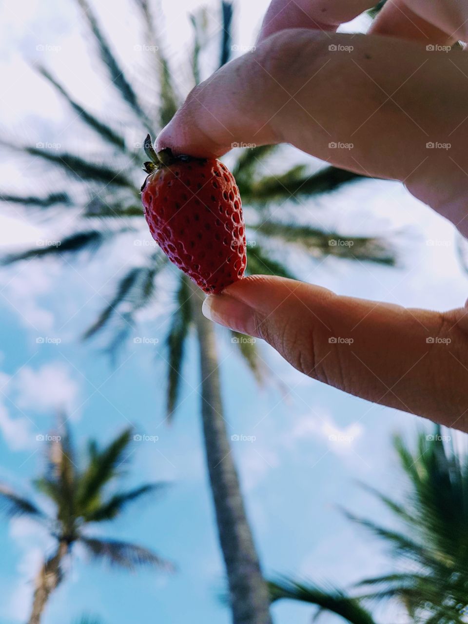 Strawberries on the beach!