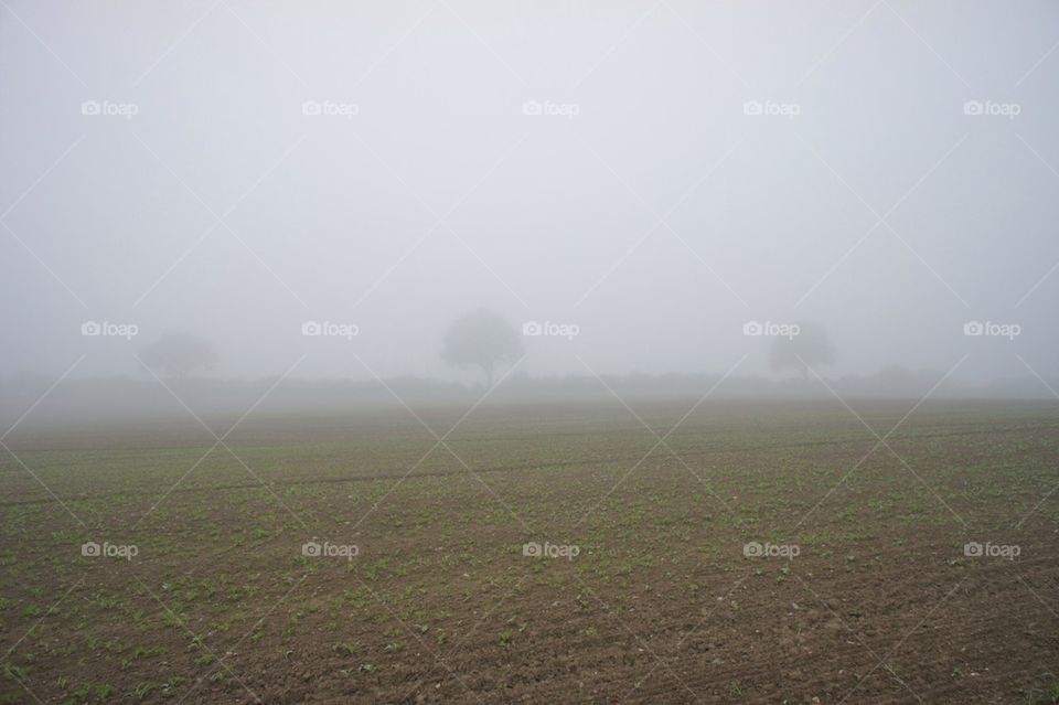 landscape fog ven foog by maack