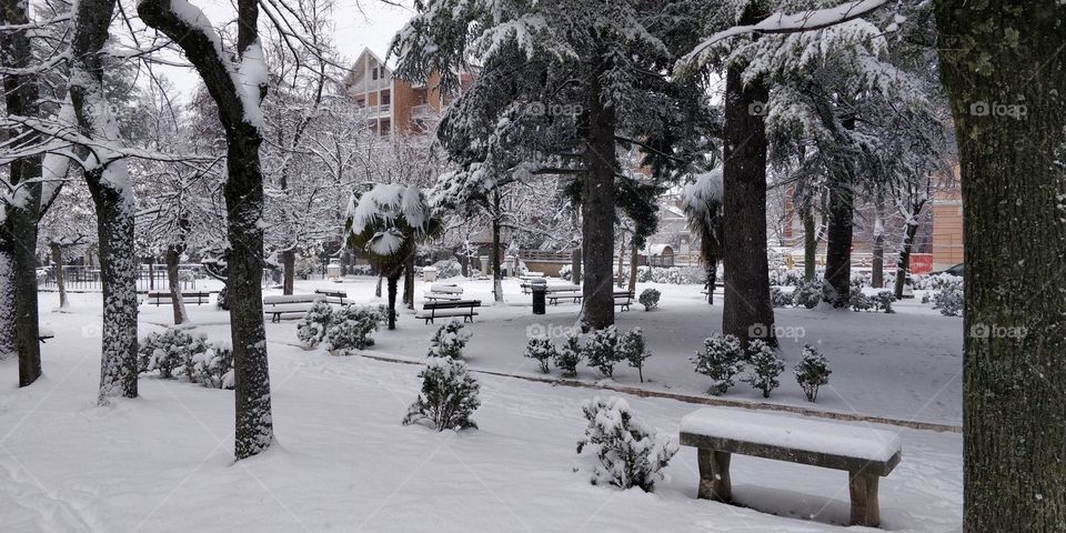 villa park winter