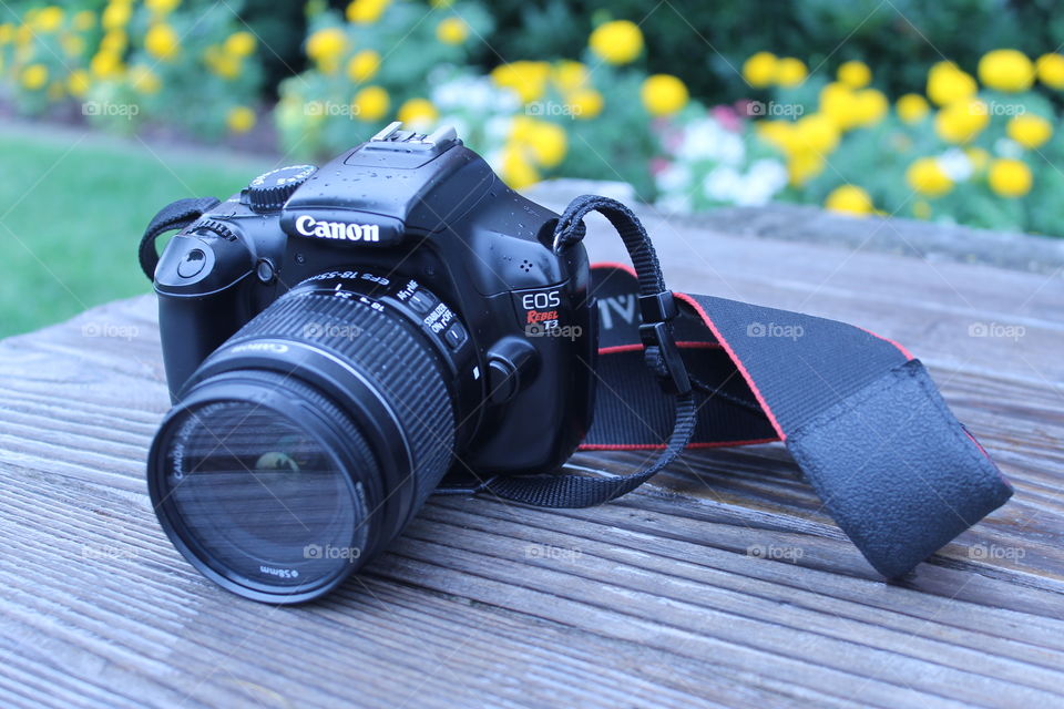 Canon rebel camera